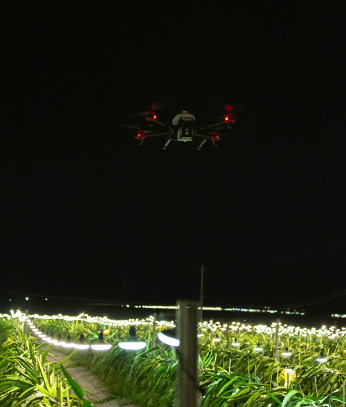 夜間水稻直播、果樹(shù)植保